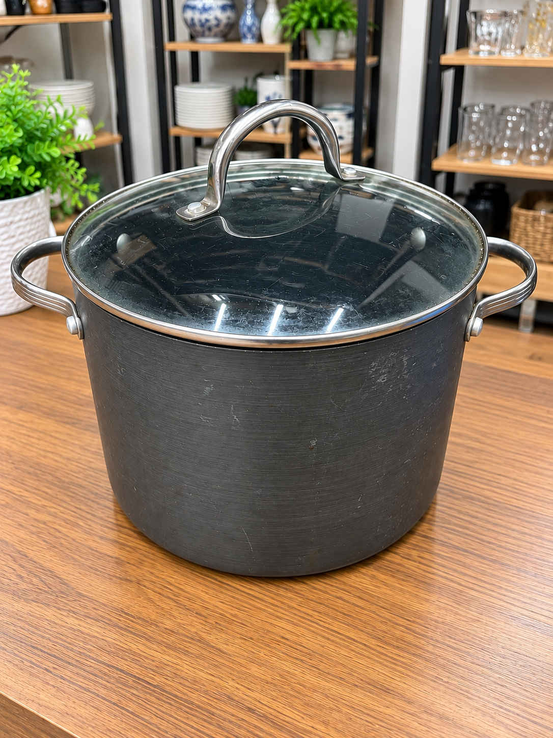 Large Stock Pot with Glass Lid