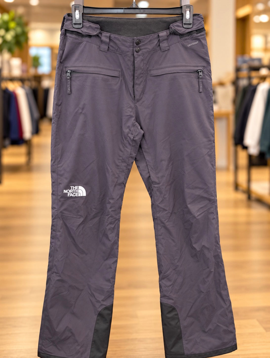 The North Face DryVent Snow Pants —